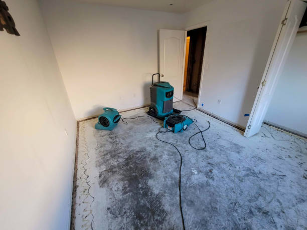 Best Commercial Water Damage Restoration in Upper Fruitland, NM