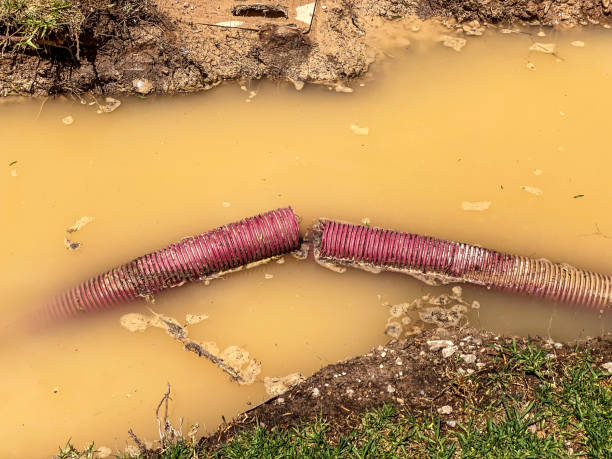 Best Crawl Space Water Damage Solutions in Upper Fruitland, NM